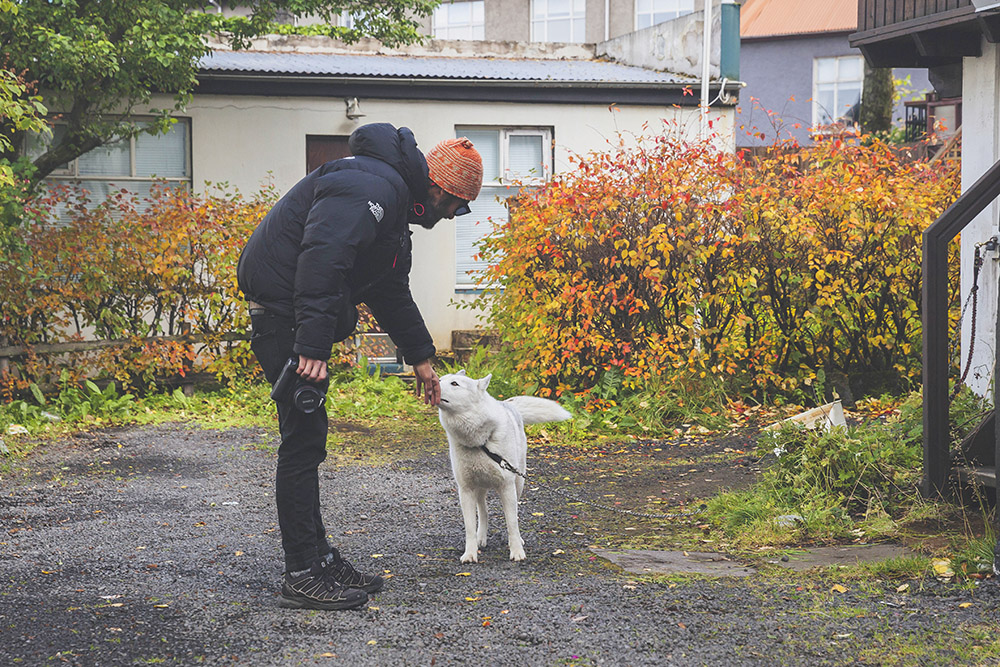 reykjavik, iceland, mia-photos, mia irina marennikova