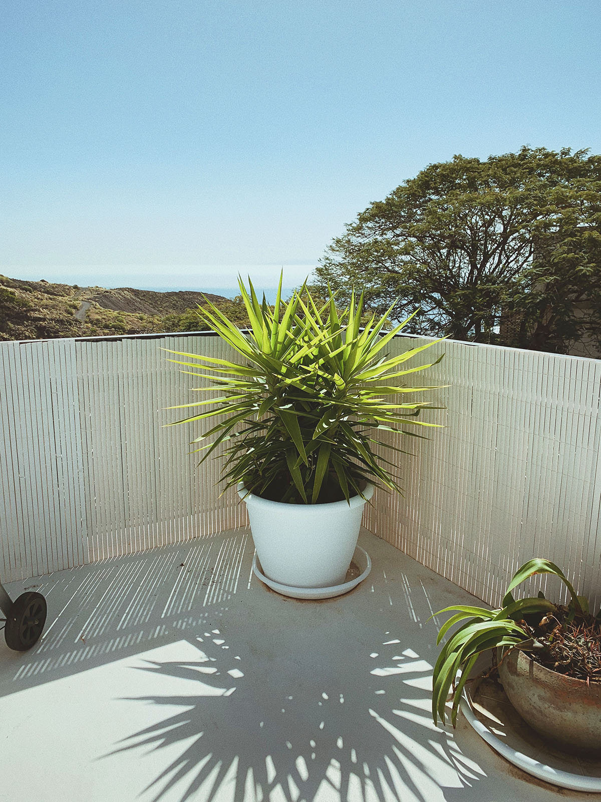 home, tenerife, terrace