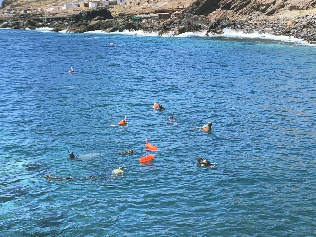 cleanup, ecoocéanos, terramare medioambiente