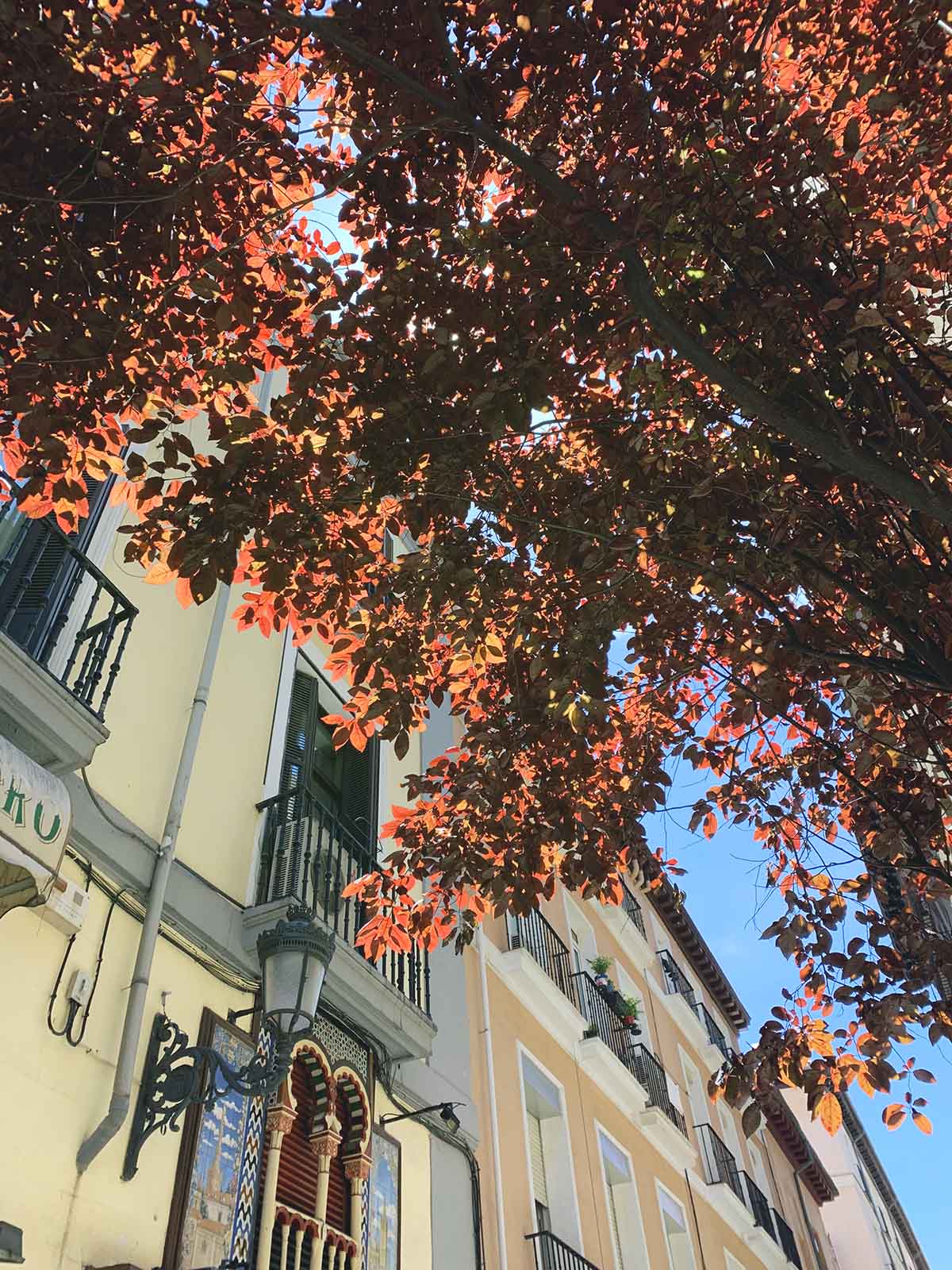 airbnb, calle echegaray, madrid, teatro español, sunny