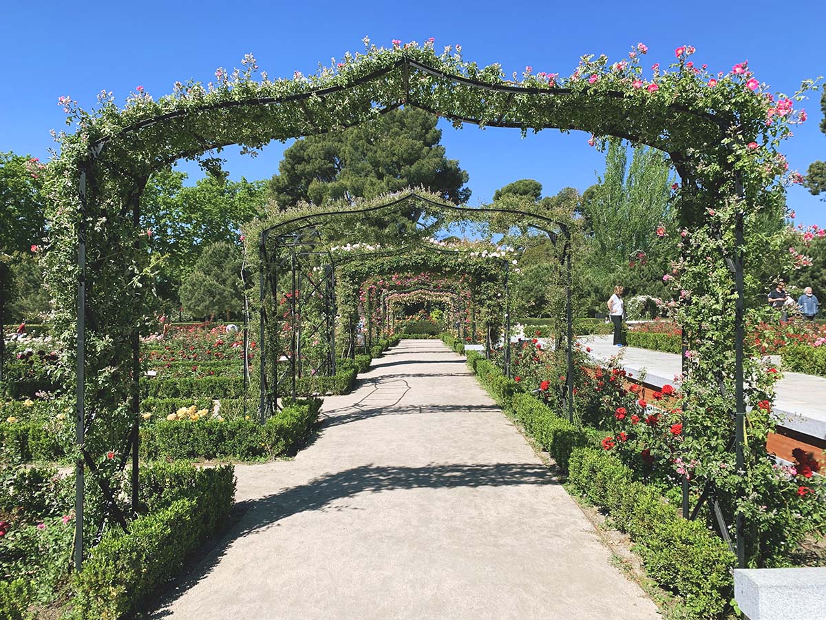 rose garden, flower, retiro