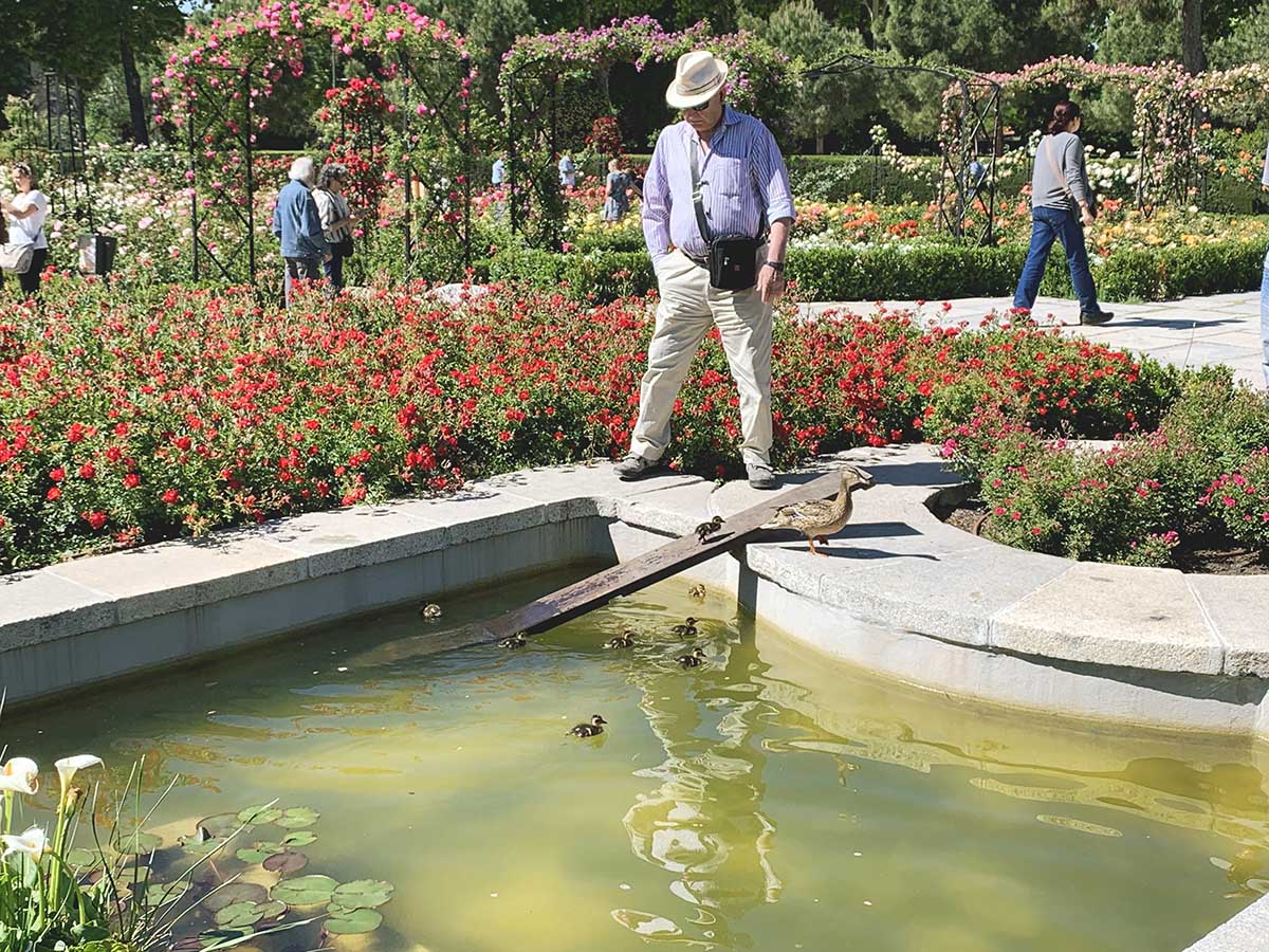 duck, retiro