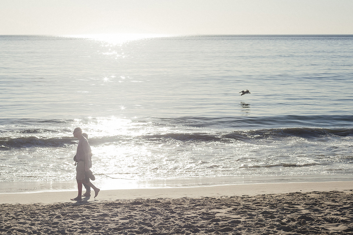 los angeles, venice beach, sunset