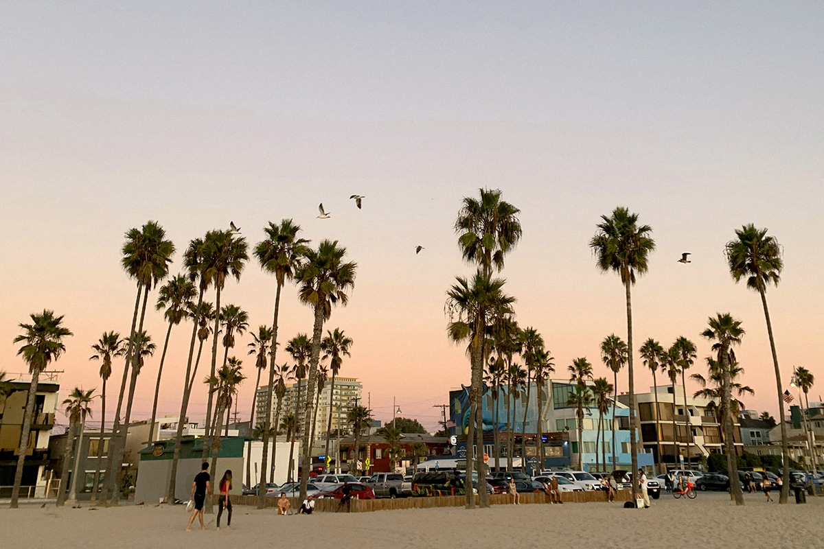 venice beach, sunset, seagulls