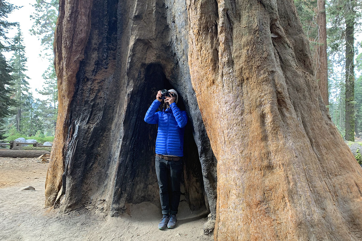 sequoia national park