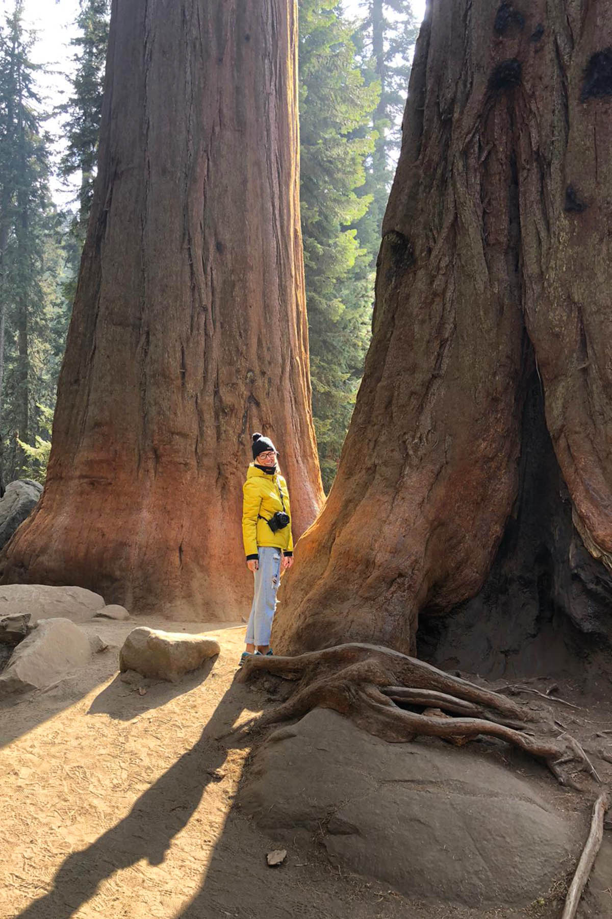 sequoia national park