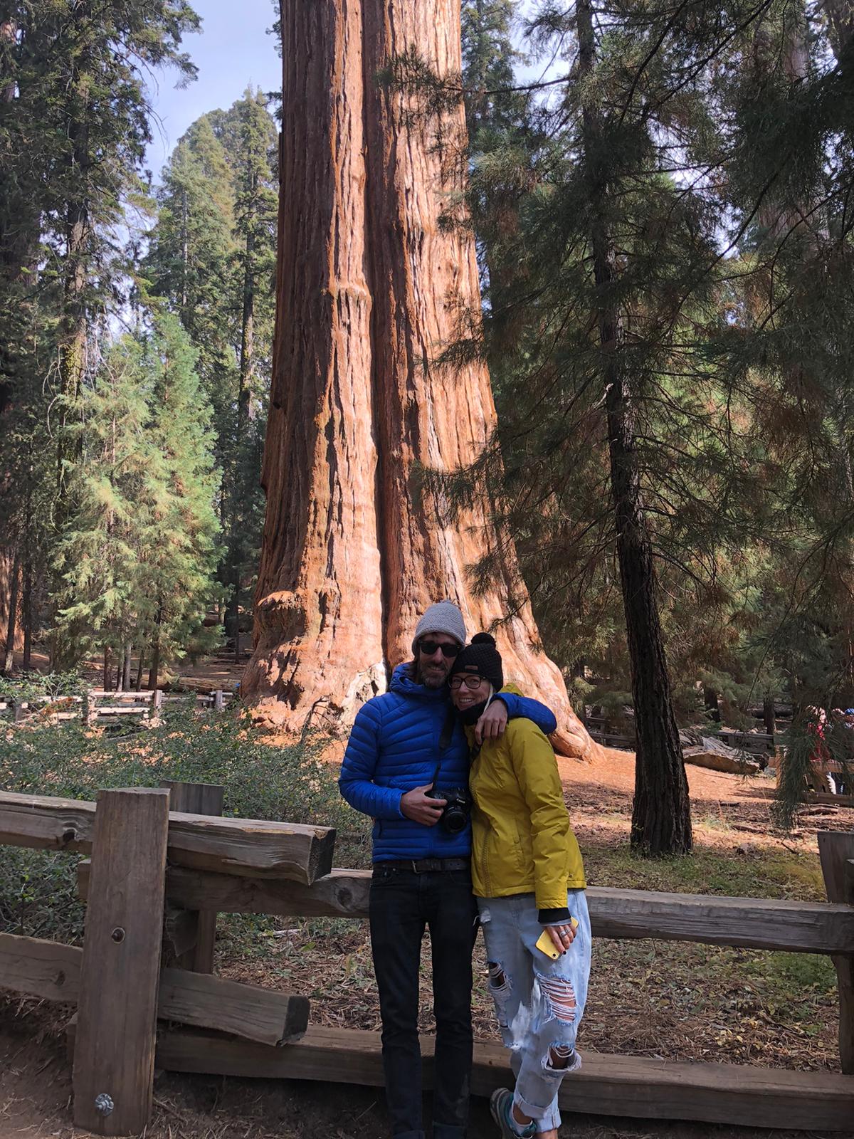 general sherman tree, sequoia park