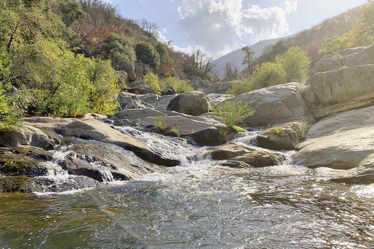 sequoia, yosemite, stream, mountains, forest