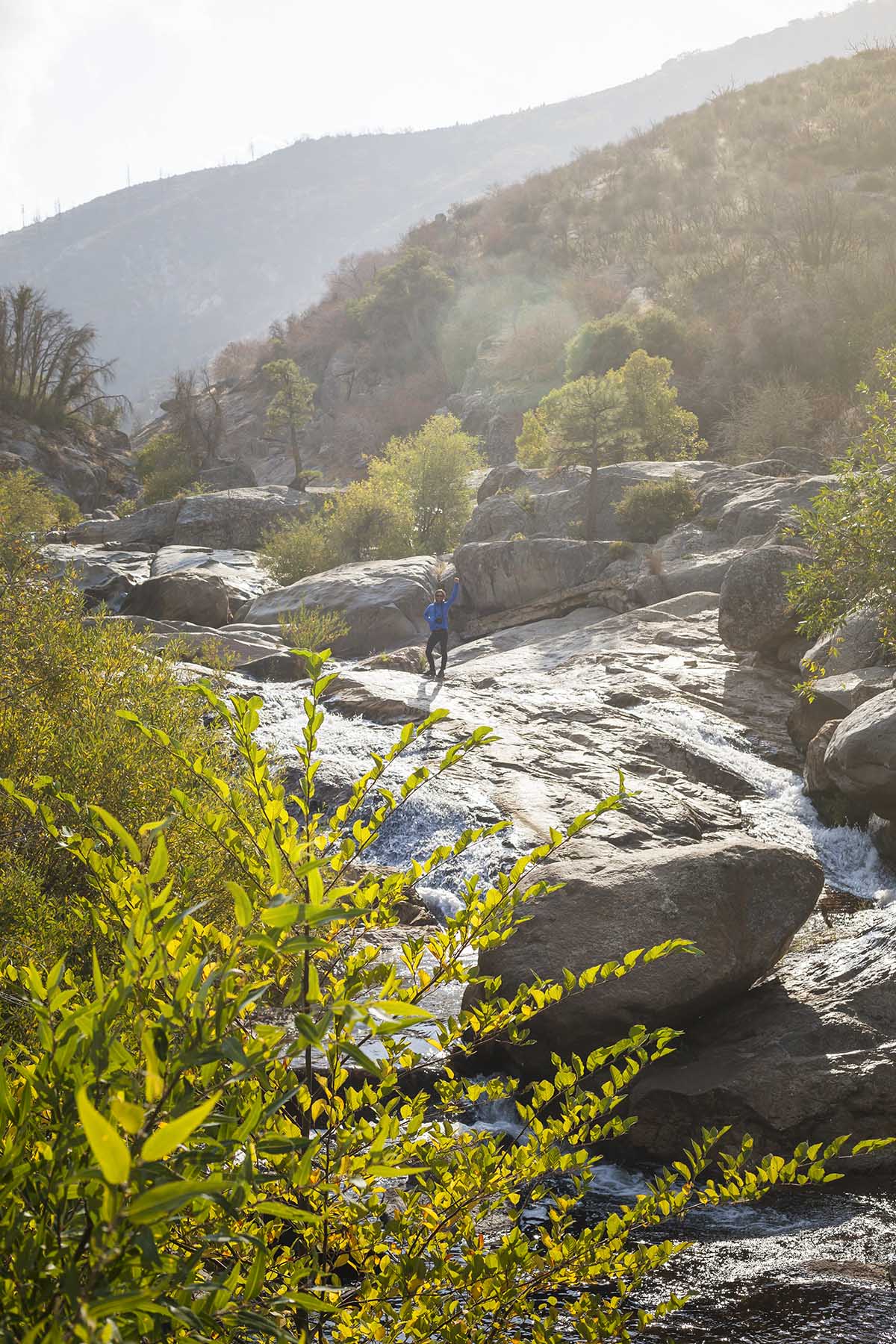 sequoia, yosemite, stream, mountains, forest