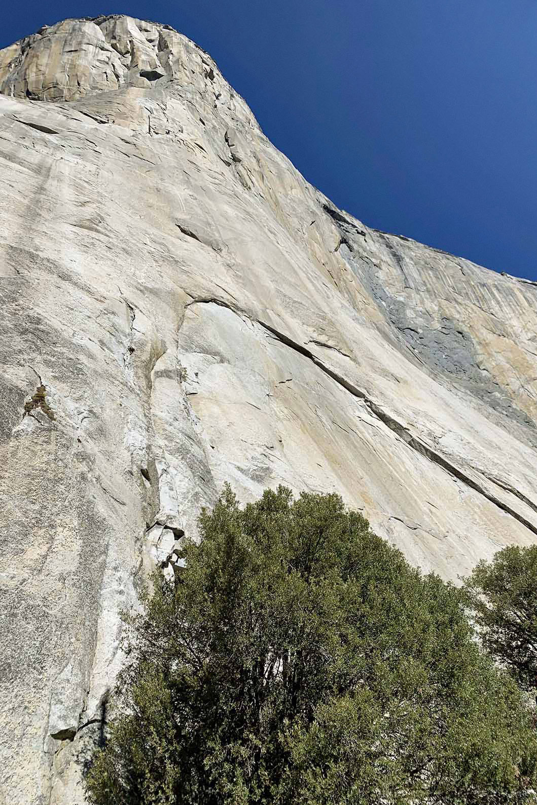 el capitan, base, yosemite, california