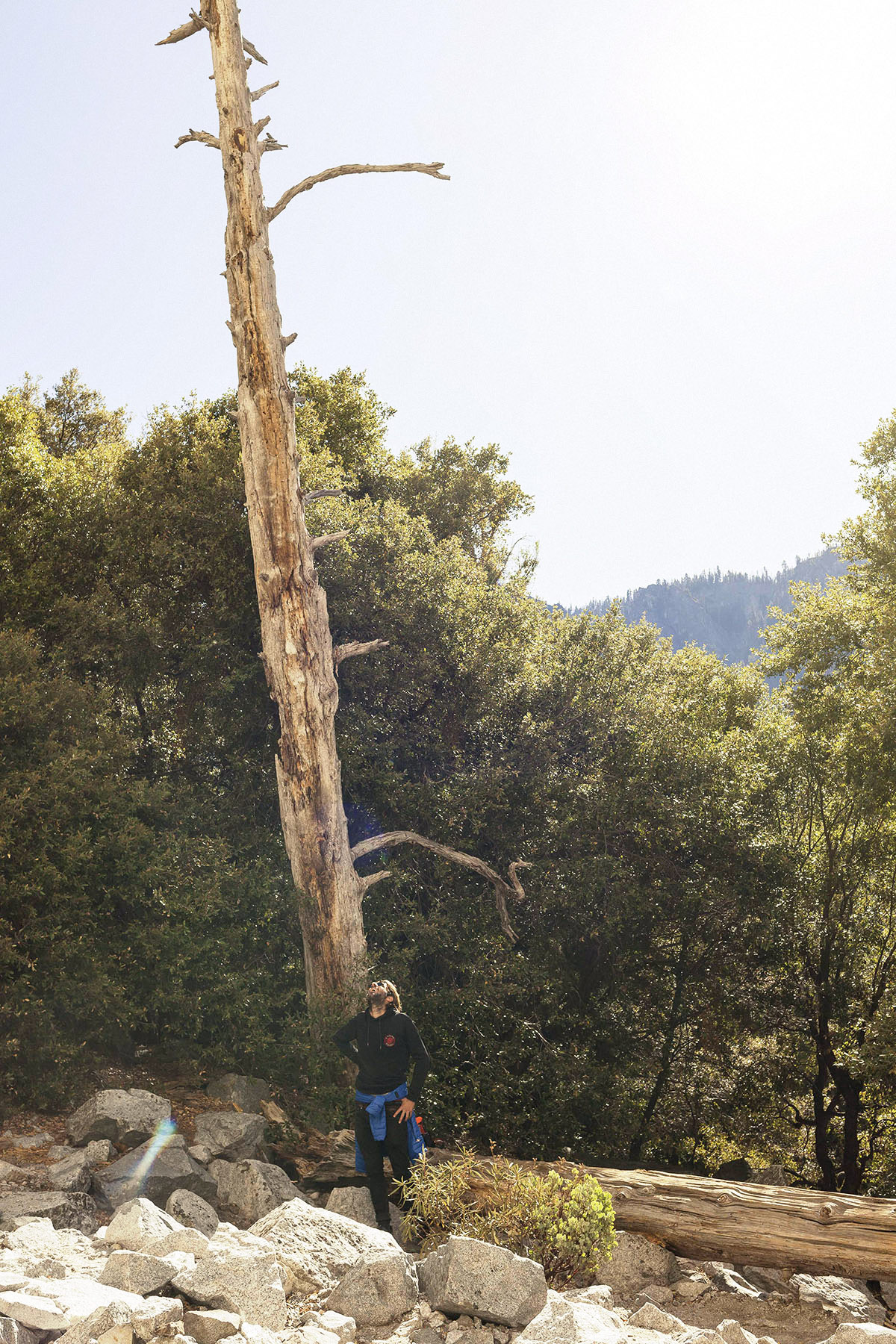 el capitan, base, yosemite, california