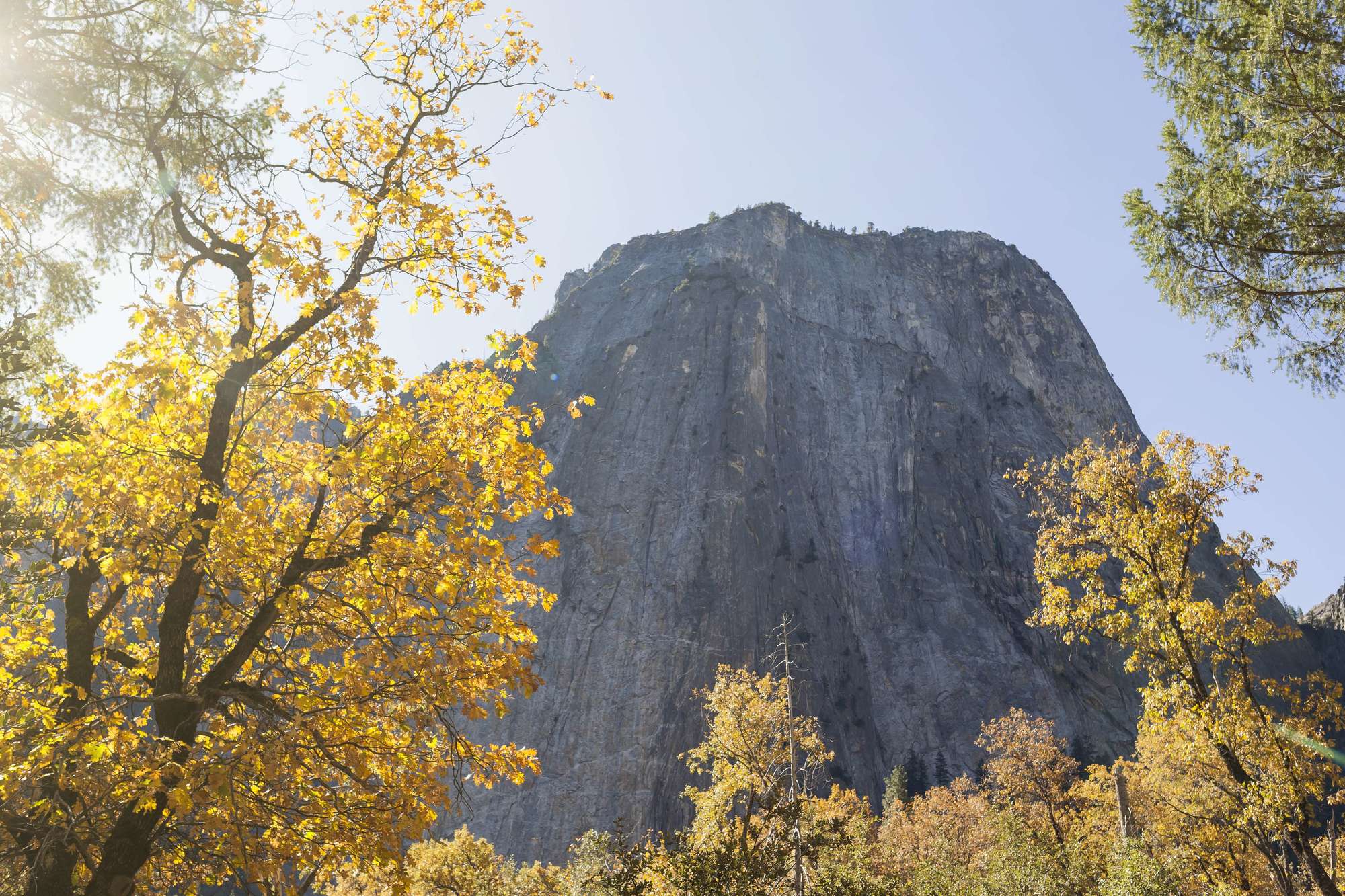 half dome, yosemite
