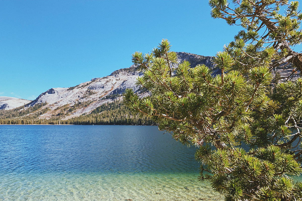 tenaya lake, yosemite, california