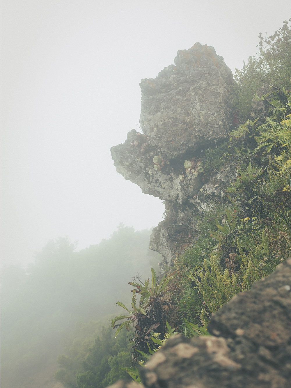 el hierro, jinama, fog