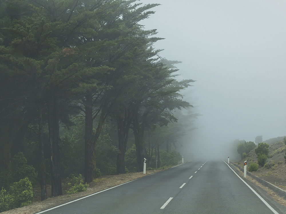 el hierro, forrest
