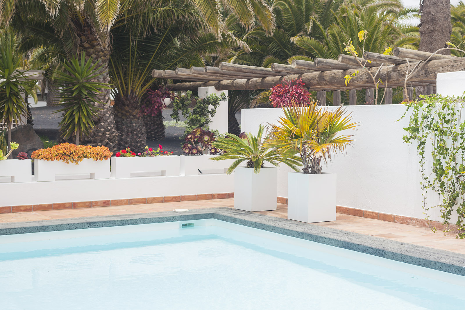 cesar manrique house