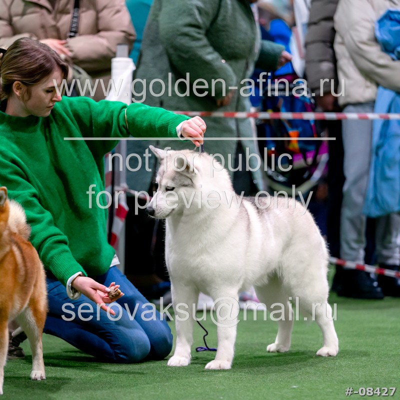 Помним о войне. Аудиокнига станислав сергеев достойны ли мы отцов и дедов. Станислав сергеев достойны ли мы отцов и дедов. Станислав сергеев пепел войны аудиокнига. Дед победы.
