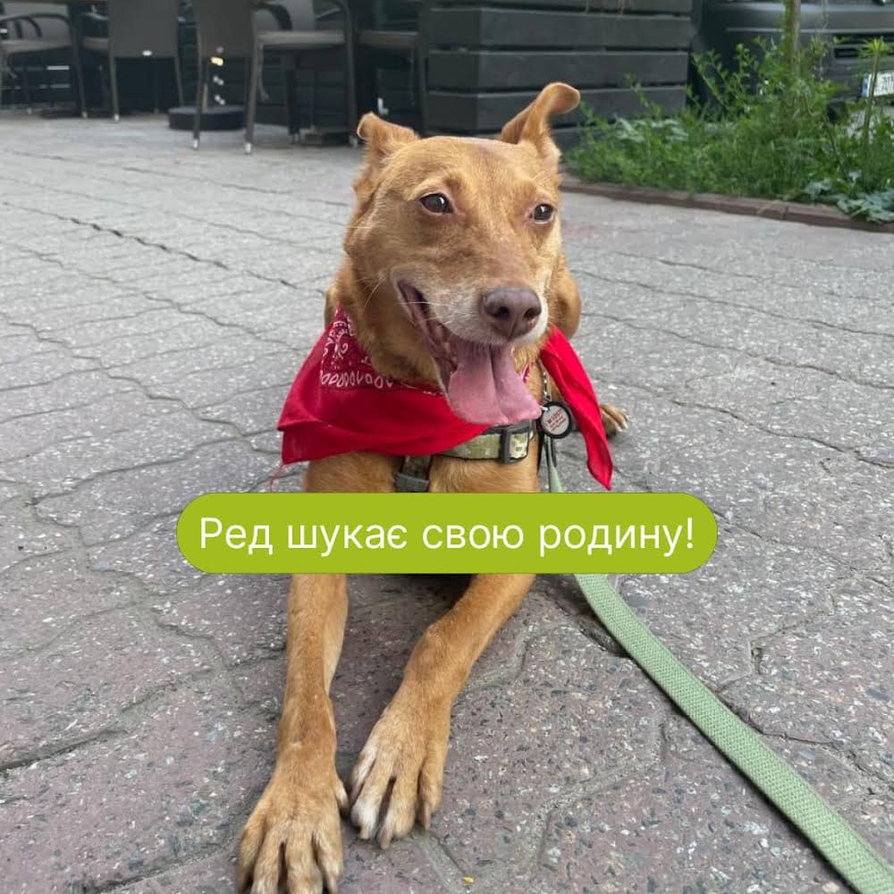 Маленькі