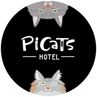 Отель для кошек в Москве PiCats Hotel - гостиница для кошек премиум класса!
