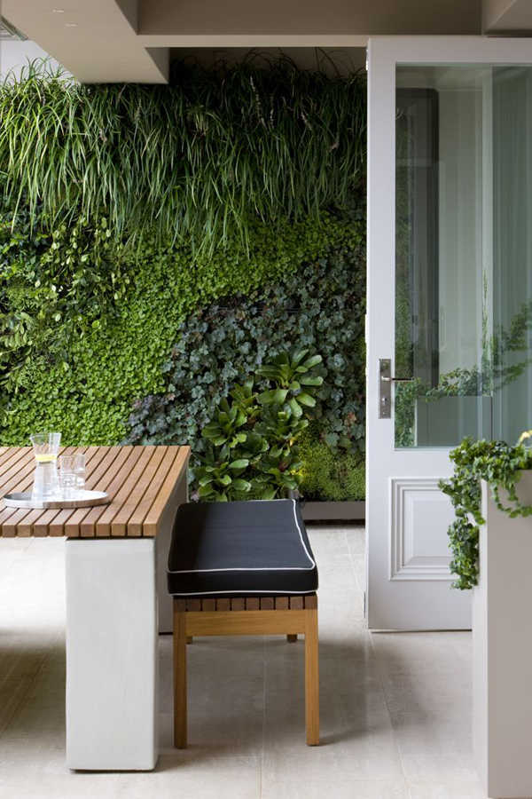 Особенности и создание в квартире живой стены из растений