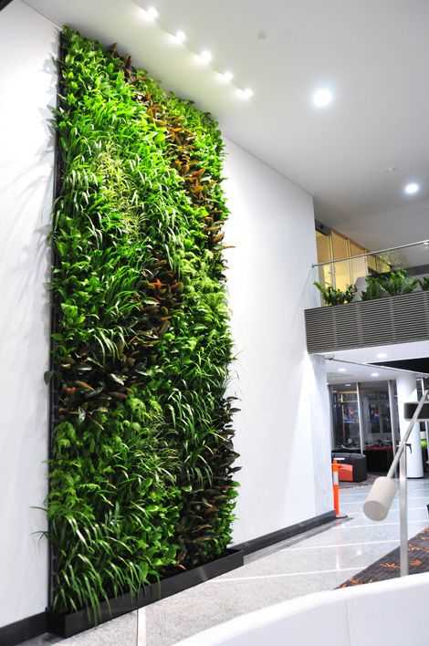 Живая зеленая стена - модульная система Natural Greenwalls® - Оптовый центр Грин Лайн