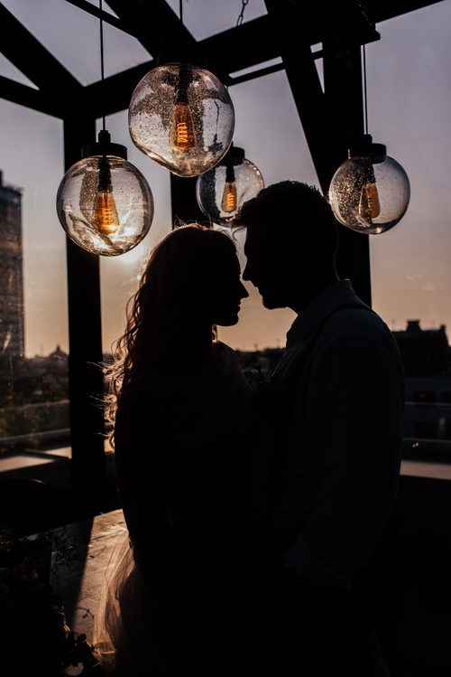 Фотодағы жетілген ресейлік киска