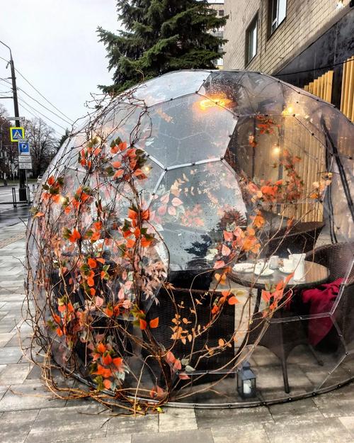 Everything You Need to Know About Those Clear Plastic Dining Domes in Mint  Plaza - Eater SF