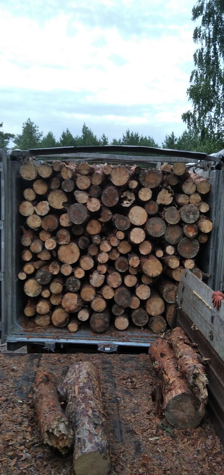 pine firewood meters