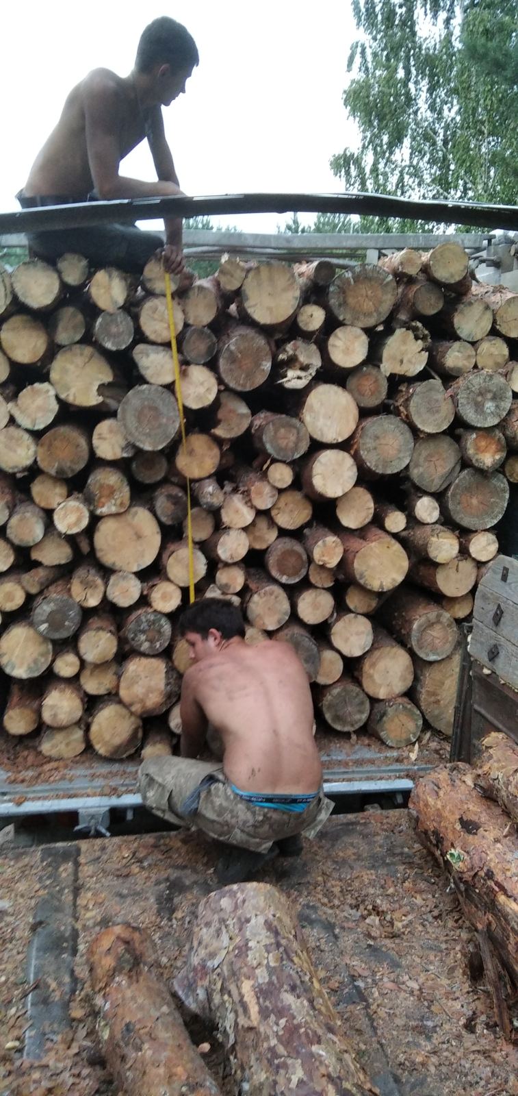 pine firewood