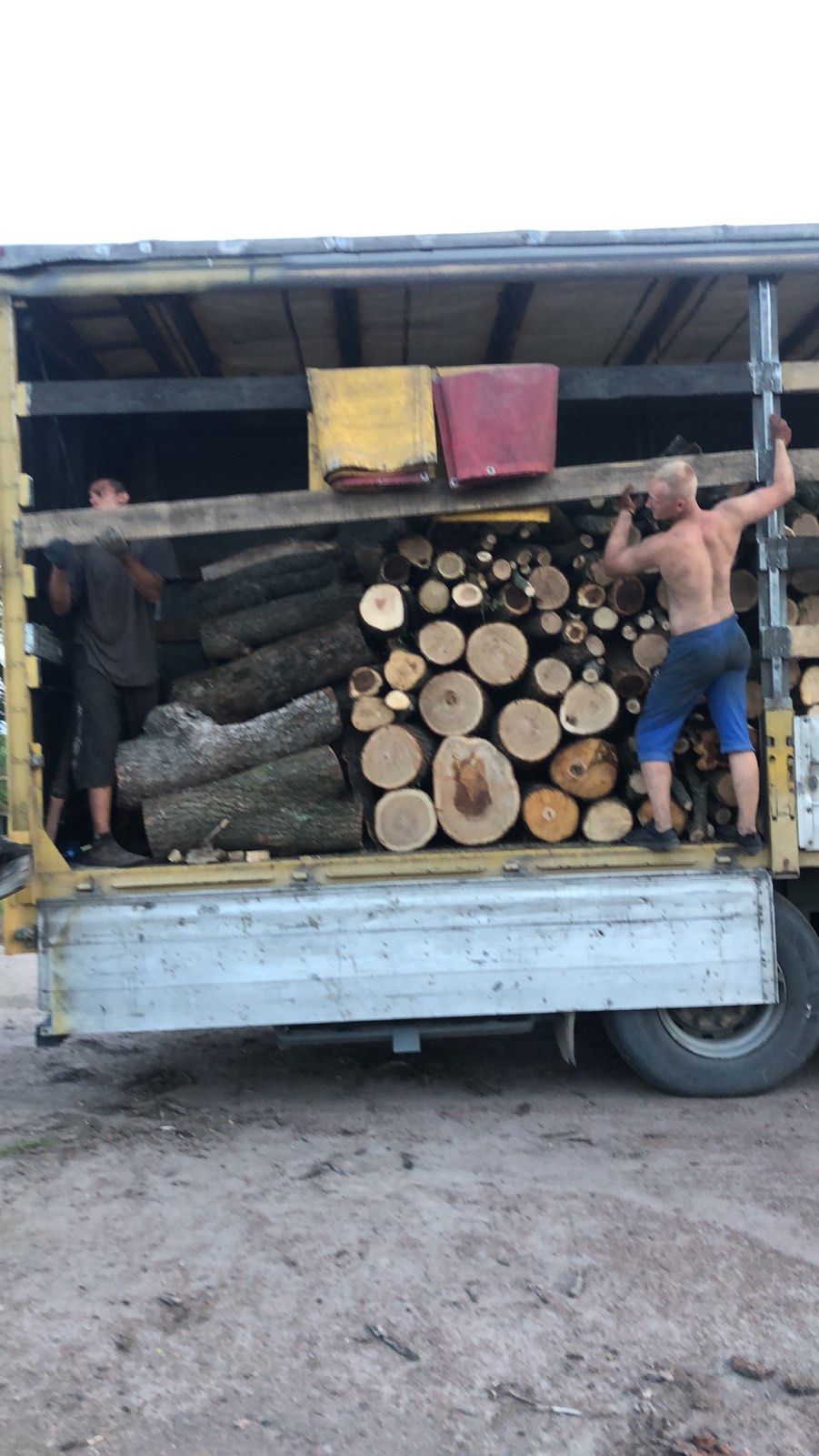 oak firewood meters