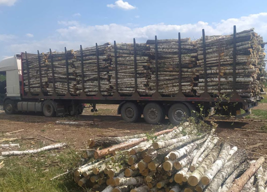 Meter-long firewood