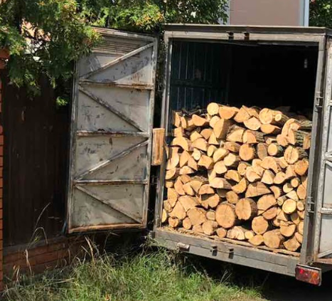 FRUIT FIREWOOD FOR A KEBAB