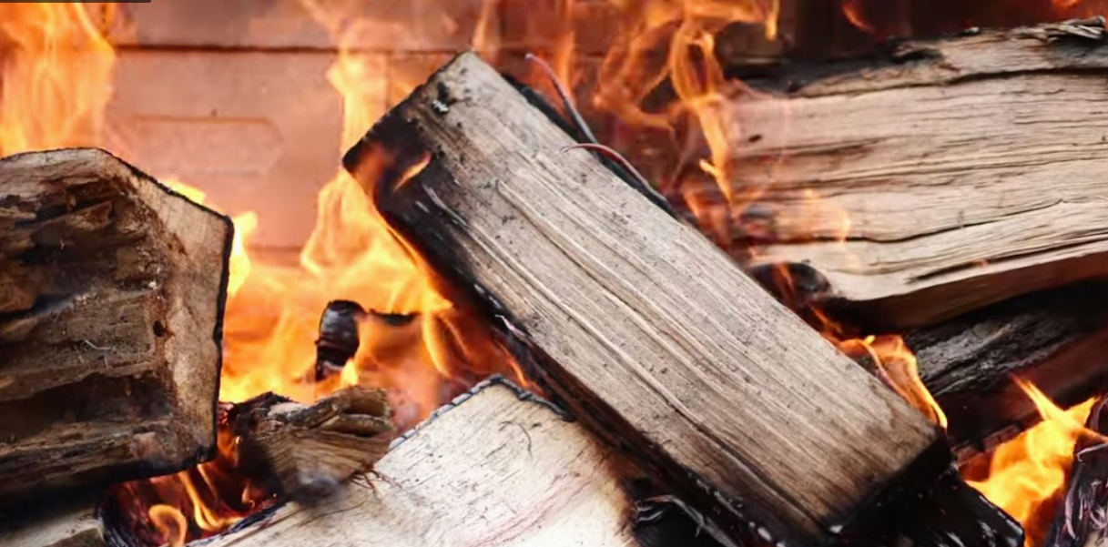 Dependence of drying on the type of wood