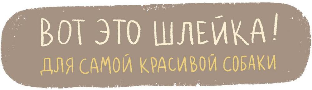 Функциональные шлейки для собак IN GOOD COMPANY