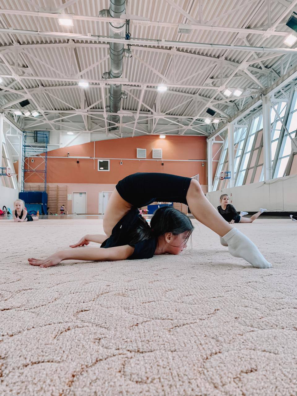 Художественная гимнастика в Орехово – Секция женской спортивной ...