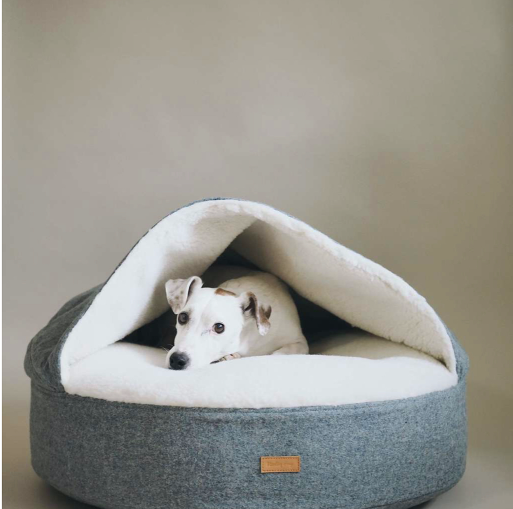 Магазин эксклюзивных товаров для животных в Москве и России