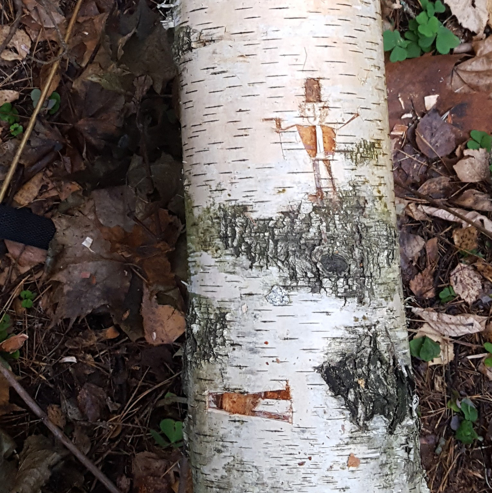 цех книги онлайн