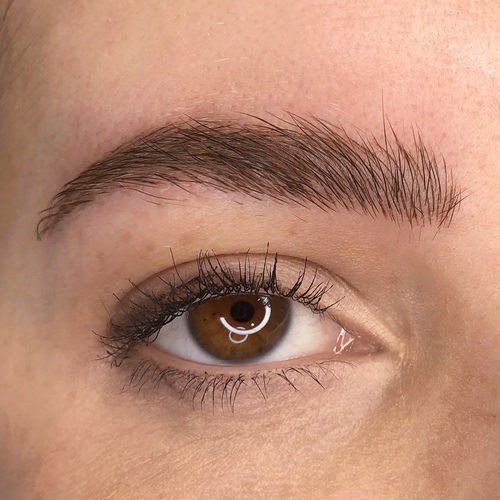 Powder Brows New York