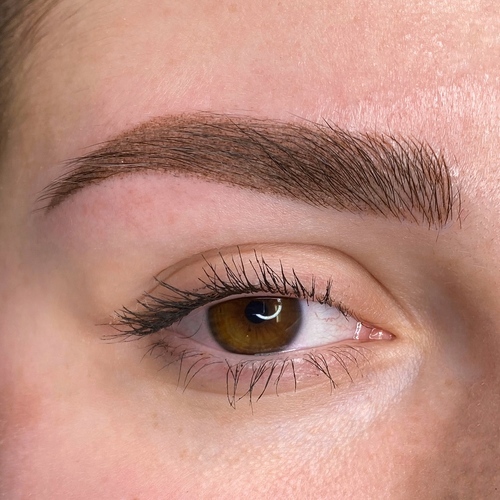 Powder Brows Ombre Brows NYC