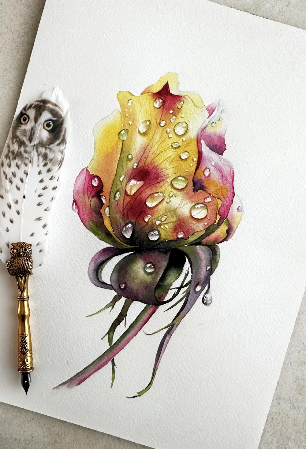 Посмотреть все мастер-классы