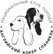 Топ кокер