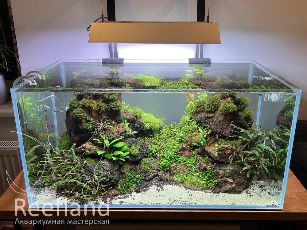Аквариумная мастерская Reefland: изготовление аквариумов на заказ в ...